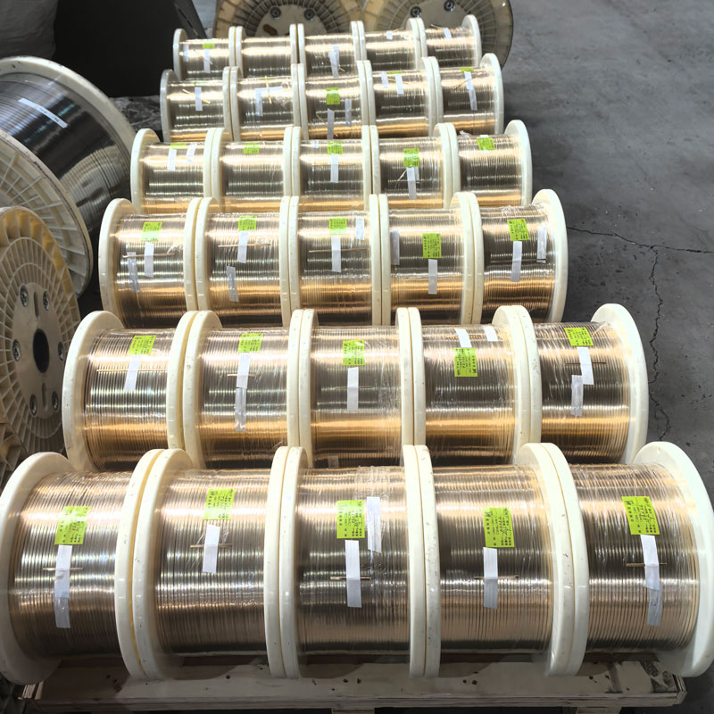 Kumparan Strip Baja Tahan Karat 301